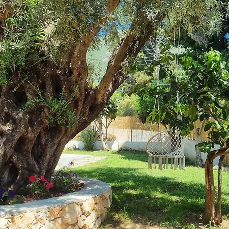 Tatil Evi Marina's House