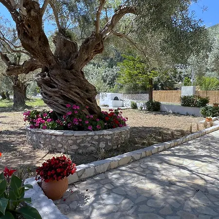 Marina's House Tatil Evi *