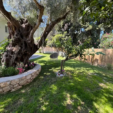 Tatil Evi Marina's House